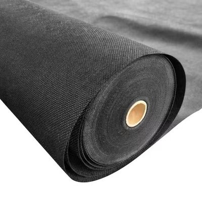 Customized Color TC Polyester Cotton Plain RFD Canvas Fabric for Shopping Bags and Tents